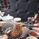 제주도야지 이미지