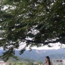 도평 스테이 네이버블로그