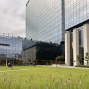 베니키아 리치다이아몬드호텔 | 판교 더블트리 바이 힐튼 서울 판교, 숲 전망 디럭스 킹 룸 힐튼 다이아몬드 라운지 조식 혜택