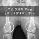 디오 동물병원 이미지