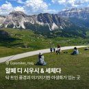 산장식당 | 이탈리아 돌로미티 서부 - 알페디시우시 세체다 초보 트래킹 코스 및 산장 식당 후기
