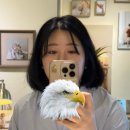 미 가연헤어 | 대전 더 네츄럴 스튜디오 성장앨범 계약 및 만삭사진 촬영 후기 (금액, 스튜디오 비교, 좋은점, 아쉬운점)