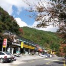 뱀사골산채식당 Daum카페