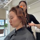 올리브영 대전도안호수공원점 | 대전 미용실 추천 뮤엘헤어 도안호수공원점 손상모 클리닉 후기