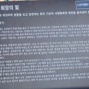 삼천포대교공원 이미지