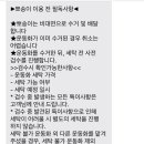 뽀송이 운동화 세탁 이미지