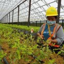 박종명 농장 이미지