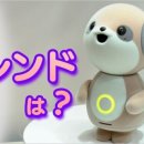 일본어(초중급) 이미지