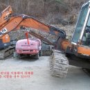 용장농장 Daum카페