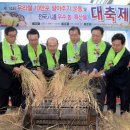 관악농협농특산물백화점 이미지