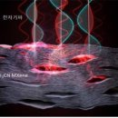 나노소재테크 네이버블로그