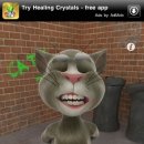 ＜아이폰 어플＞Talking Tom cat＜게임 어플＞ 이미지