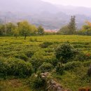 코스모스작은도서관 이미지