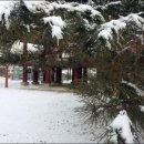 물레방아영양탕 이미지