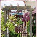 하나노인전문병원 이미지