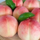 매일2농장 이미지