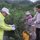 하성농장 이미지