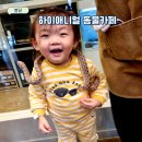 새말안길 | 화성 봉담 하이애니멀 동물 카페 체험 다녀왔어요