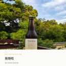 더블레스루프탑카페&펍 | 종로 서순라길 루프탑 카페 트마리ㅣ☕종묘 담벼락 뷰 한옥카페 내돈내산 후기