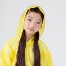 알파안전 이미지