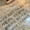 제주 구좌읍 애견동반 가볼만한곳 제주풀무질 독립서점 후기