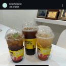 6-141 TS | 아프지않게! 상악동거상술과 임플란트