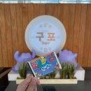 (주)광안교통 | in 부산 포켓몬 지하철 스탬프랠리 후기(경로 및 소요시간/광안,전포,부산역 캡슐토이 가챠 종류/포켓몬...