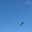 죽도횟집 - 구리시 장자대로86번길 46 | 죽도횟집