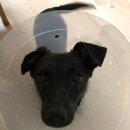 남양종합동물병원 이미지