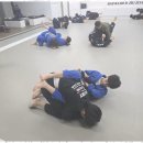 화랑합기도&부여주짓수 네이버블로그