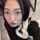 페릿 | [마포구] 홍대 이색 카페 페럿월드 후기