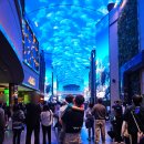 문화가있는날 <지펠> 영상상영 | 인스파이어 리조트 호텔 주차 스플래쉬베이 수영장 후기 꿀팁