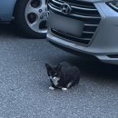 한중관 | 왓츠인 포