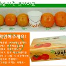 장복농장 이미지