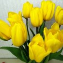 화림농장 이미지