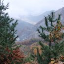 형제목장 이미지