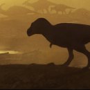 TM body complete 이미지