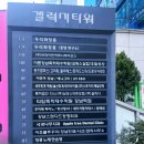 어라인 | 드로우어라인 / 강남역 자연 눈썹 후기