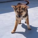 토실 토실 이미지