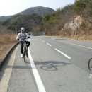 양북시장 Daum카페