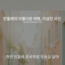 민들레여행 Daum카페