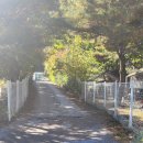 무릉도원면사무소 | [캠핑기록9]영월키즈캠프 즐거운 할로윈캠핑(구.힐링캠프)