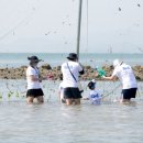 하전어촌체험마을 이미지