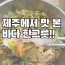 성아시 | "제주 금능해수욕장 맛집, 성아시 물회국수 찐 후기"