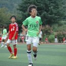 영광초등학교 이미지