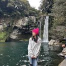 가성비갑 호텔 &#39;제주나인부띠끄호텔 :: 스탠다드룸&#39; 내돈내산 솔직후기 (ft.가격, 어메니티, 천지연폭포)
