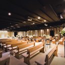 베라카채플웨딩 이미지