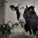 매직광고 - 영도구 청학동로 33 | 매직광고