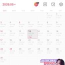 잠실준25시동물병원 | [임신] 24-25주 사이의 일상 기록(첫 에드포스트수익, 택일, 엉덩이전체 착색, 임당, 입체초음파)