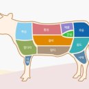 둔내한우명가 이미지